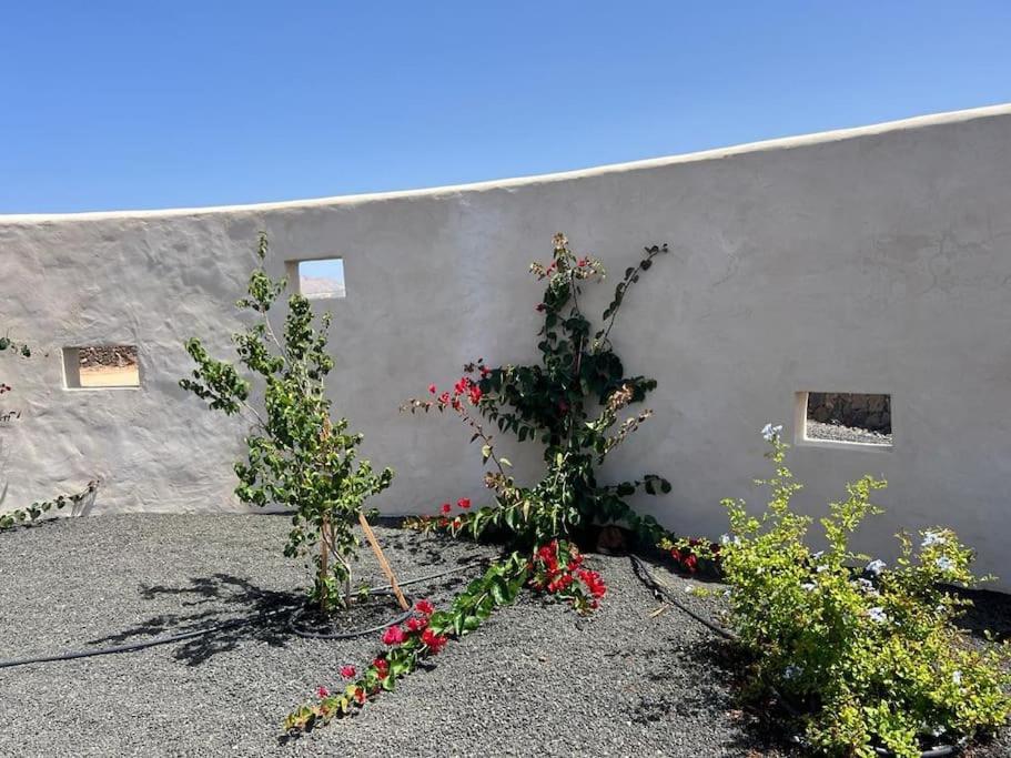 Villa Lavayarena Private Pool In Lajares ラ・オリーバ エクステリア 写真